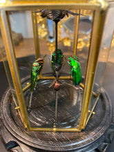 Charger l'image dans la galerie, Prisme hexagonal aux d’insectes