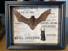 Charger l'image dans la galerie, Cadre duo de chauve souris