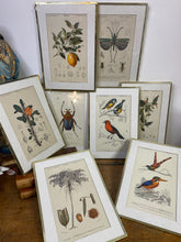 Charger l'image dans la galerie, Tirages encadrés vendus à l’unité