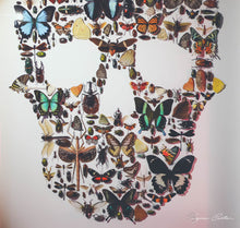 Charger l'image dans la galerie, Cadre vanité aux insectes