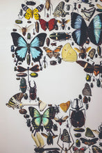 Charger l'image dans la galerie, Cadre vanité aux insectes