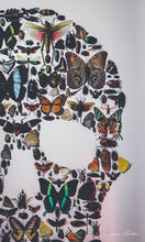 Charger l'image dans la galerie, Cadre vanité aux insectes