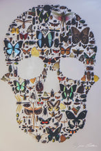 Charger l'image dans la galerie, Cadre vanité aux insectes