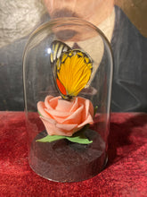Charger l'image dans la galerie, Rose et papillon