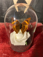 Charger l'image dans la galerie, Rose et papillon