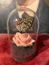 Charger l'image dans la galerie, Rose et papillon
