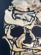 Charger l'image dans la galerie, Cadre vanité « MEMENTO MORI »
