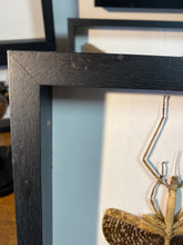 Charger l&#39;image dans la galerie, Cadre phasme
