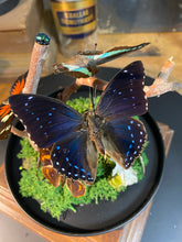 Charger l&#39;image dans la galerie, Globe « 360 de nature »
