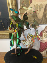 Charger l&#39;image dans la galerie, Envolée de papillons et libellules sous globe Napoleon 3, ENVOI IMPOSSIBLE
