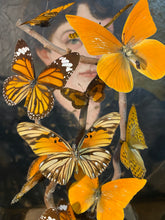 Charger l&#39;image dans la galerie, Globe envolée de papillons
