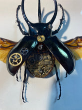 Charger l&#39;image dans la galerie, Scarabée mécanique!
