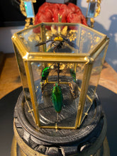 Charger l&#39;image dans la galerie, Prisme hexagonal aux d’insectes
