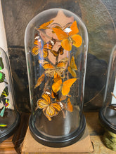 Charger l&#39;image dans la galerie, Globe envolée de papillons
