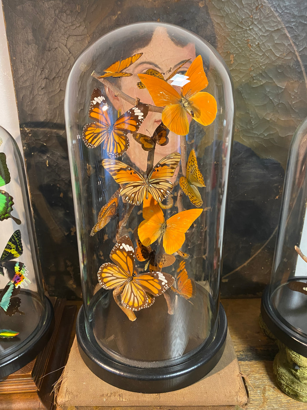 Globe envolée de papillons