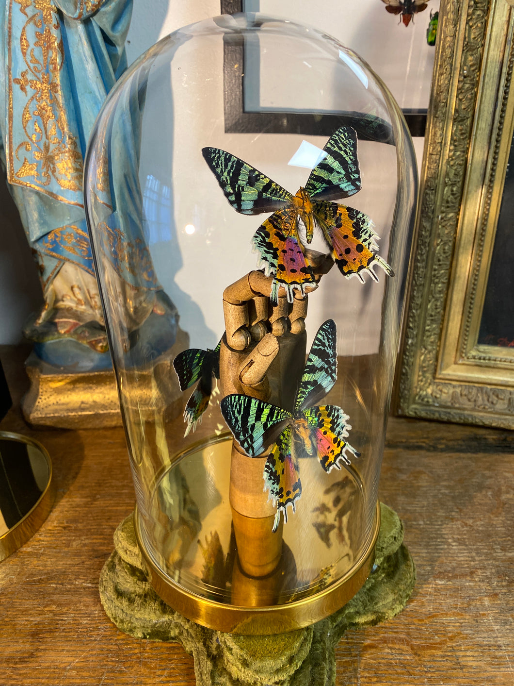 Papillons urania ripheus sur main en bois