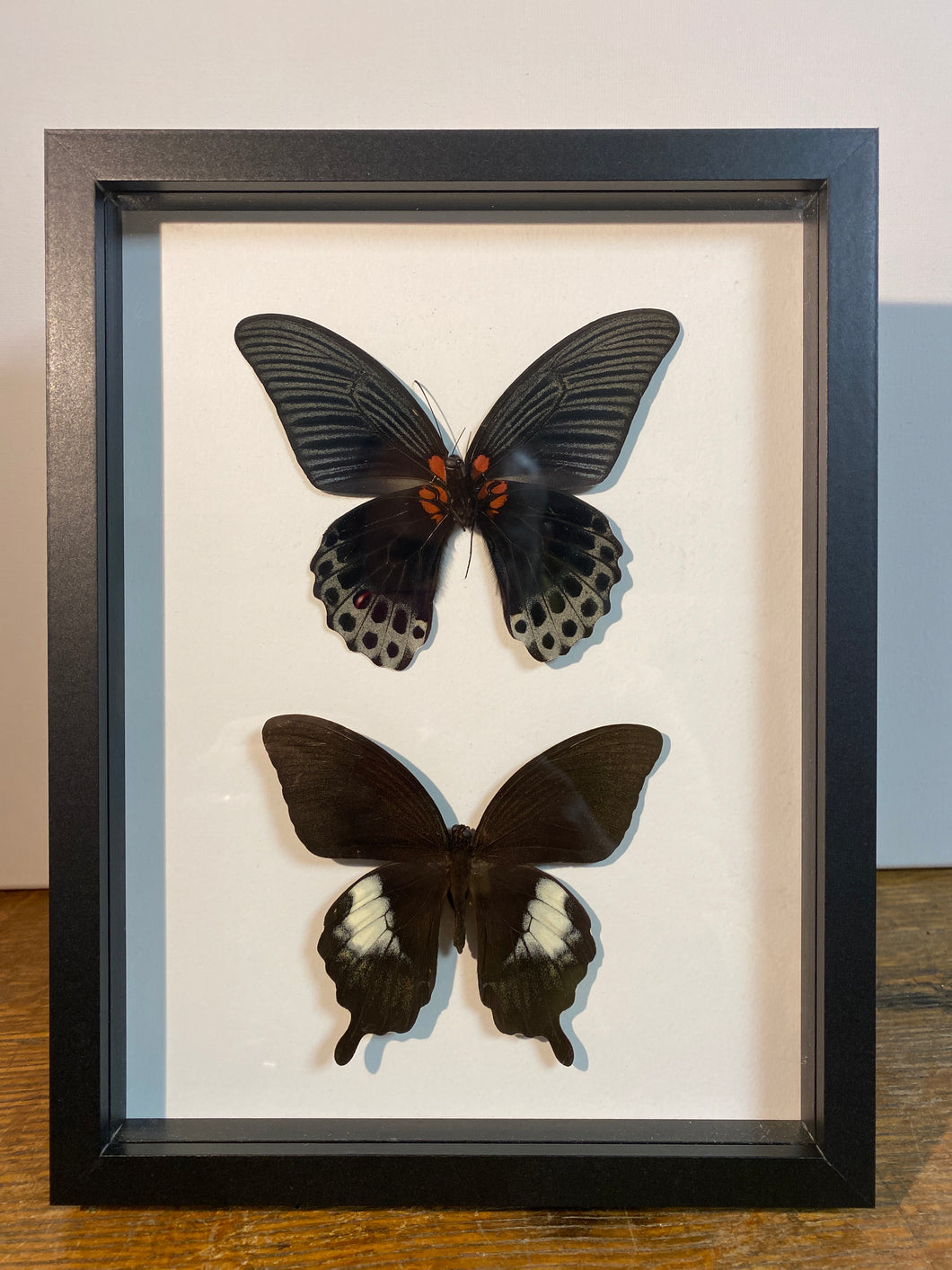 Cadre duo de papillons