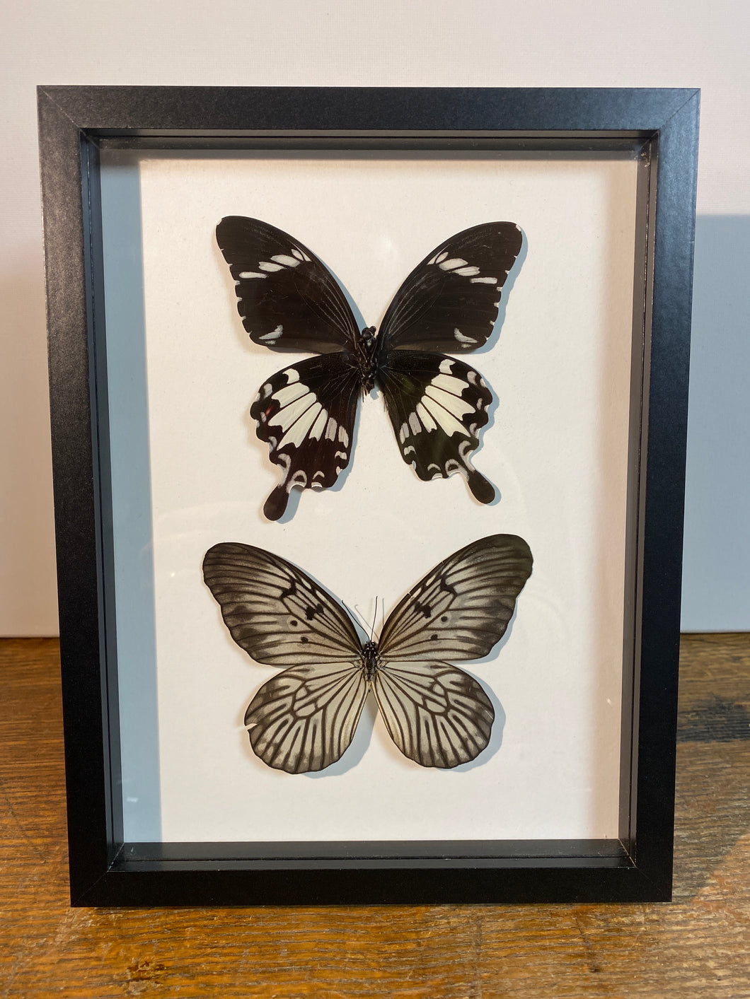 Cadre duo de papillons