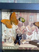 Charger l&#39;image dans la galerie, Cadre photo d’époque et insectes
