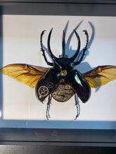 Charger l&#39;image dans la galerie, Scarabée mécanique!
