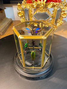 Prisme hexagonal aux d’insectes