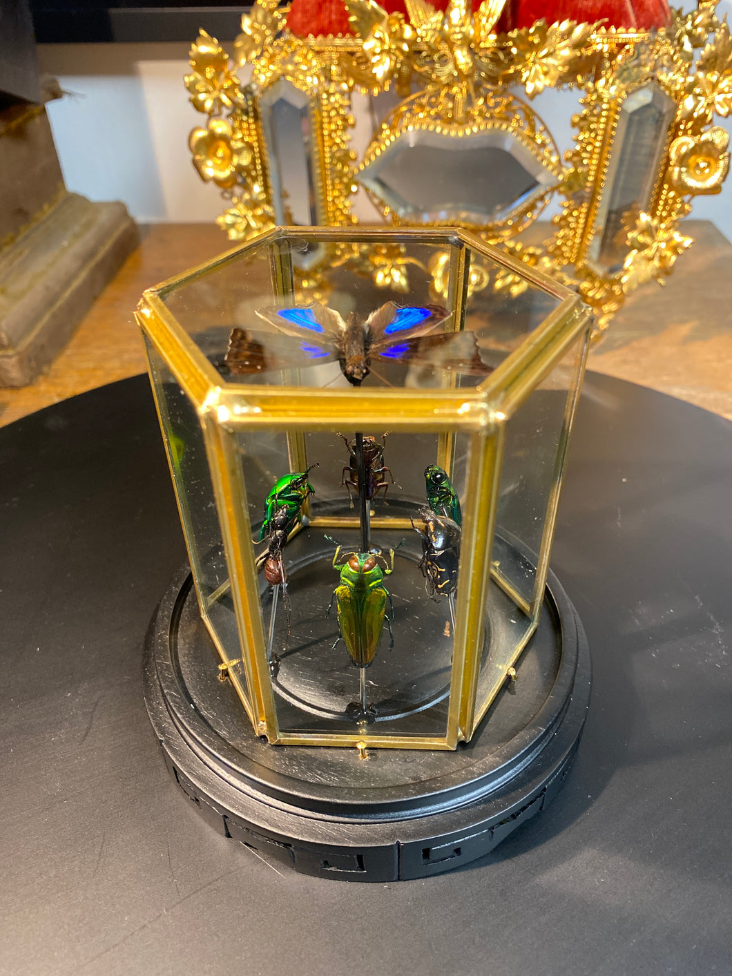 Prisme hexagonal aux d’insectes