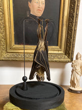 Charger l&#39;image dans la galerie, Chauve-souris eonycteris sous globe en verre
