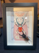 Charger l'image dans la galerie, Cadre avec illustration
