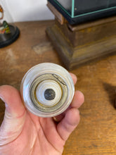 Charger l&#39;image dans la galerie, Encrier en coquillage
