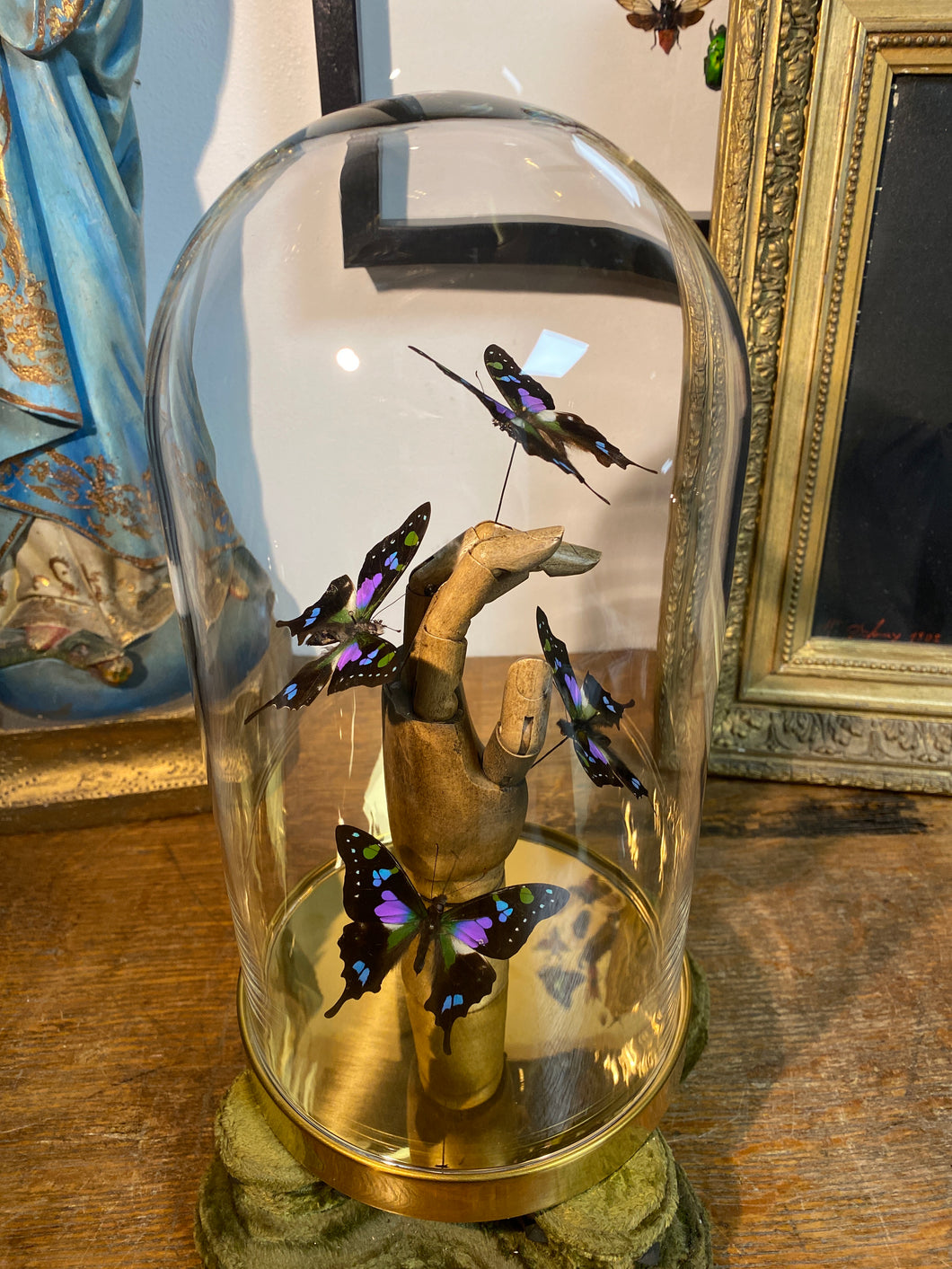 Papillon graphium weiskei sur main en bois