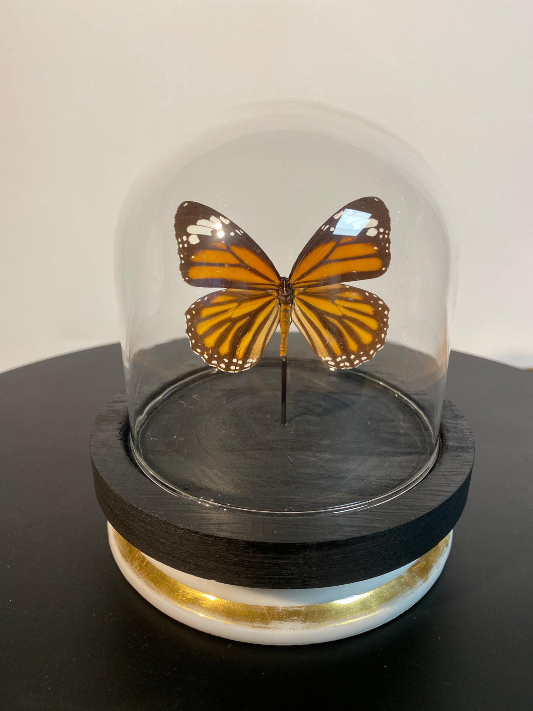 Globe papillon