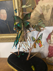 Envolée de papillons et libellules sous globe Napoleon 3, ENVOI IMPOSSIBLE