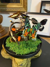 Charger l&#39;image dans la galerie, Globe « 360 de nature »
