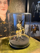 Charger l'image dans la galerie, Squelette d’oiseau sous verre
