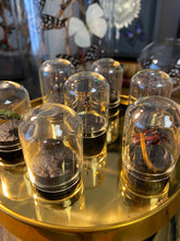 Charger l'image dans la galerie, Mini globe
