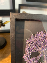 Charger l&#39;image dans la galerie, Cadre tête de mort en radiole d’oursin petit modèle
