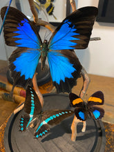 Charger l&#39;image dans la galerie, Cloche envolée de papillons sur bois tortueux
