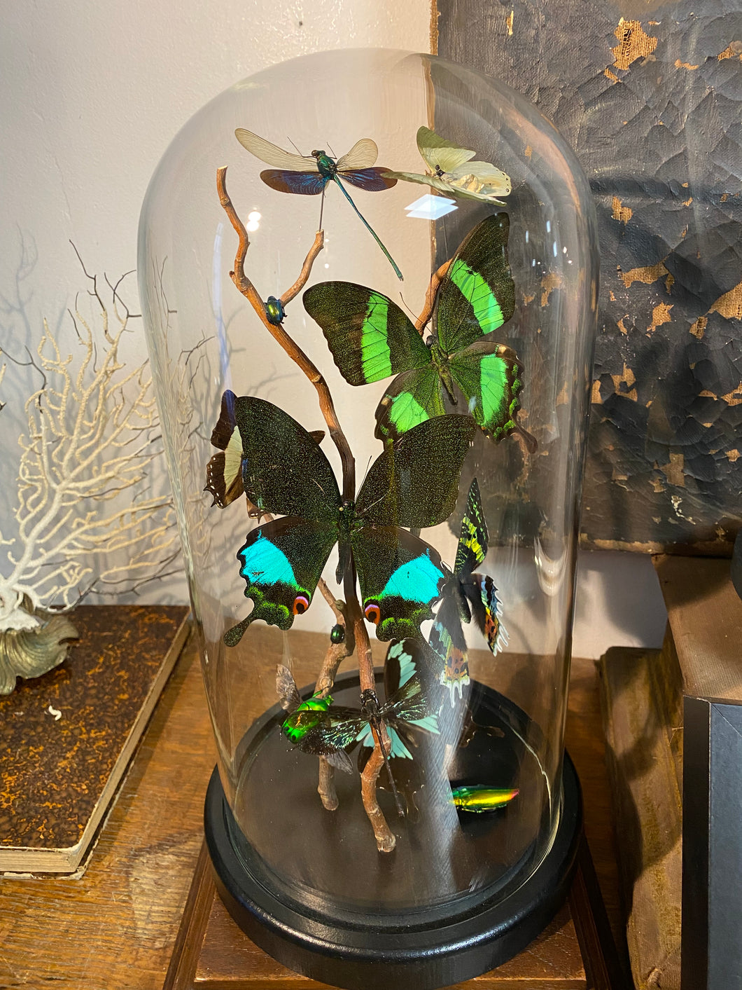 Globe envolée de papillons et demoiselles