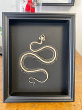 Charger l&#39;image dans la galerie, Cadre squelette de serpent

