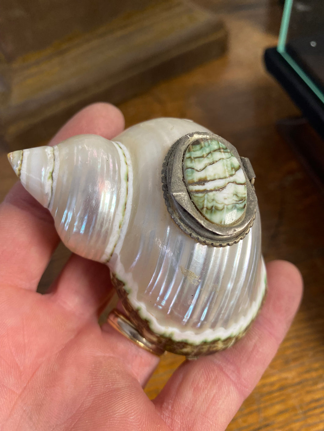 Encrier en coquillage