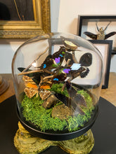 Charger l&#39;image dans la galerie, Globe « 360 de nature »
