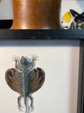 Charger l&#39;image dans la galerie, Cadre lézard volant
