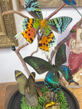 Charger l&#39;image dans la galerie, Cloche envolée de papillons sur bois tortueux
