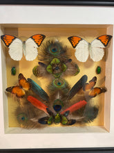 Charger l&#39;image dans la galerie, Cadre composition plumes et insectes ( vide atelier!)

