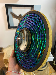 Miroir concave avec contour en Elytres de scarabées