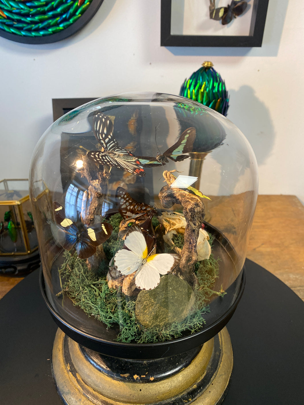 Globe « 360 de nature »