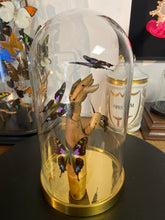 Charger l'image dans la galerie, Papillon graphium weiskei sur main en bois
