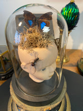 Charger l&#39;image dans la galerie, Globe insectes sur tête de poupée en porcelaine
