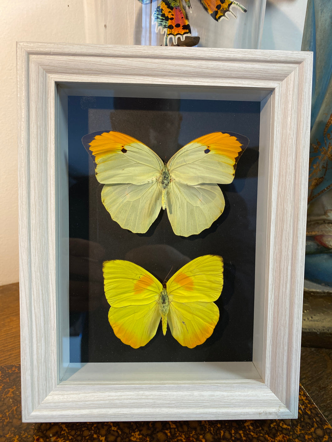 Cadre duo papillons