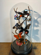 Charger l&#39;image dans la galerie, Globe envolée de papillons d’insectes
